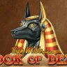 Book of Dead at BetWinner